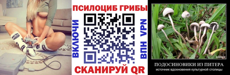 Псилоцибиновые грибы Psilocybe  Короча 